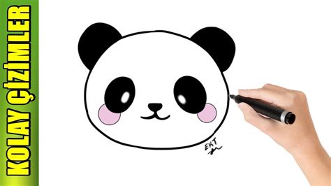 Panda çizimi